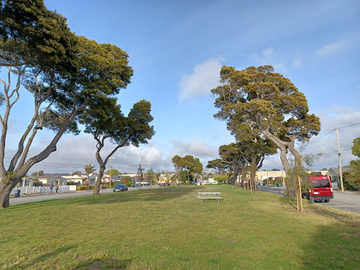Trinity Park - Visual