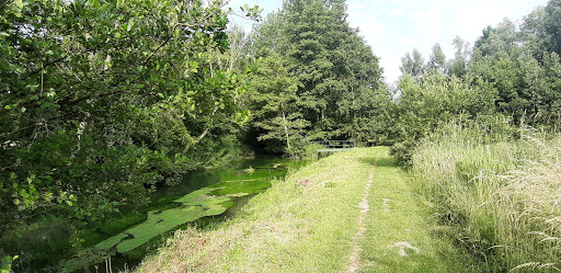 Marais de Marœuil - Thumbnail