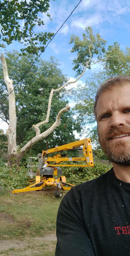 ERT Tree Removal