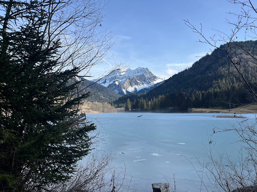 Lac de vallon Gallery - France