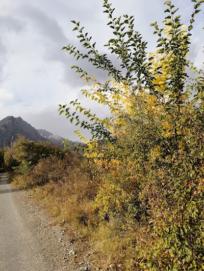 Mağaçur Yayla