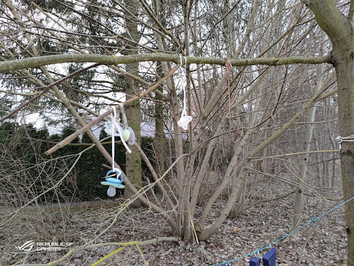 2. Schnullerbaum - Visual