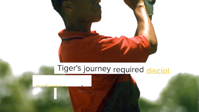 A Little Bird by null