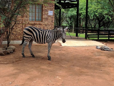 Photos of Henk Van Rooyen Park