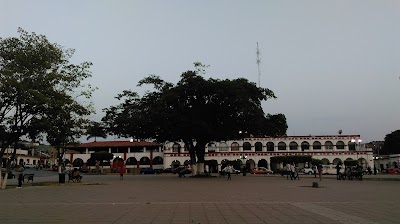 Photos of H. City Council of Chiapa de Corzo