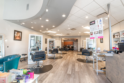 ECLEKTICA The Salon at Briarcliff Village Gallery - United States