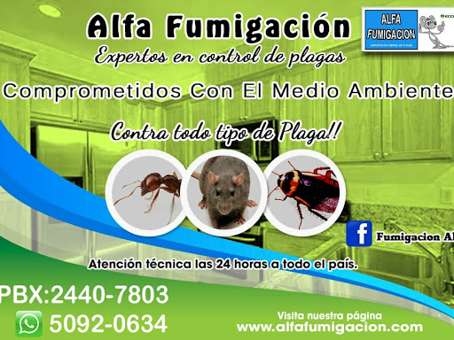 Fumigacion Alfa - Empresa De Fumigación Y Plagas