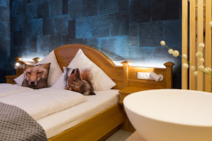 Photo n°71 de Les Bagenelles, Hôtel 3 étoiles et Restaurant au coeur de la nature à Sainte-Marie-aux-Mines (Hôtel)