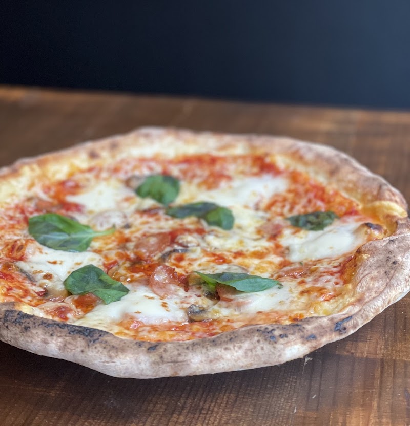 ジャックラビットスリムス