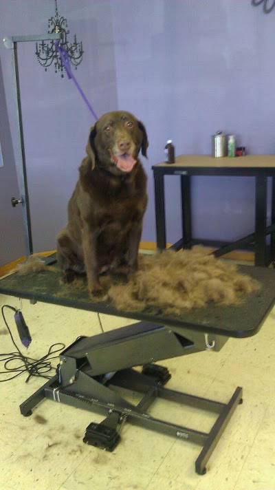 Photos of Hair Of The Dog