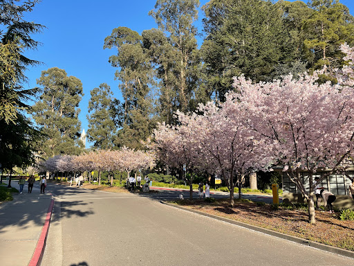 Berkeley (Crescent Lawn - University of California, Berkeley)
