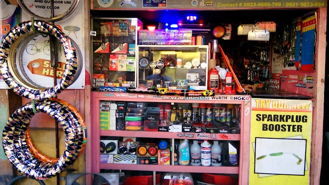 AutoZone Plus Enterprises, Author: harold teves