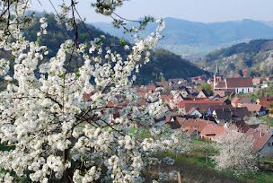 Photo n°4 de chambre d'hôtes 