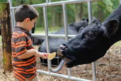 Cherry Place Farm