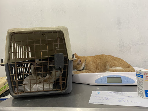Centro veterinario Dr Moy