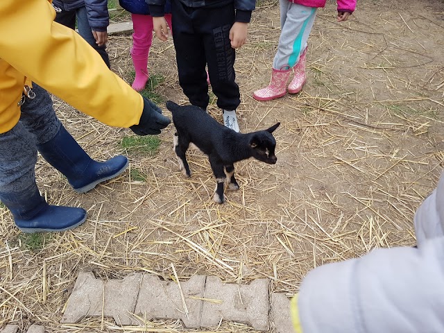 Ferme pédagogique Le p'tit brin d'paille