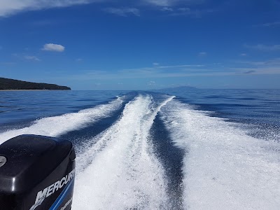 Photos of Little Barrier Island