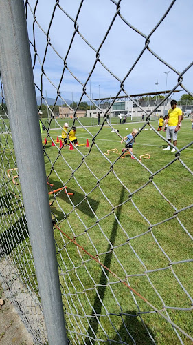 Rezensionen über Meyrin FC in Gland - Sportstätte