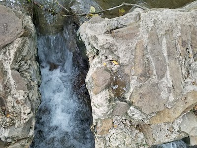 Photos of Walnut Springs Park