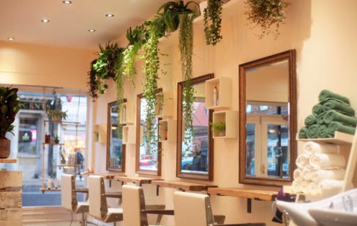 Central Studios Hair and Beauty