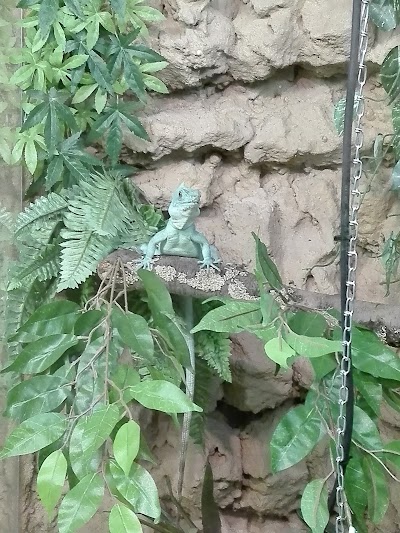 Photos of Tropicario - Trooppinen El&auml;intalo
