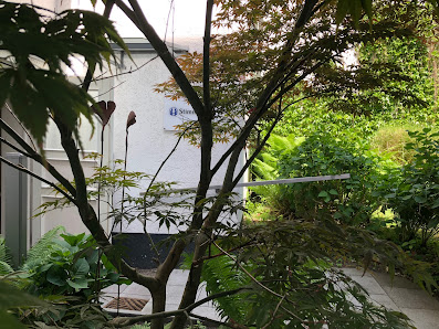 Stimmhaus - Mediation und Coaching Himmelstraße 42, 22299 Hamburg
