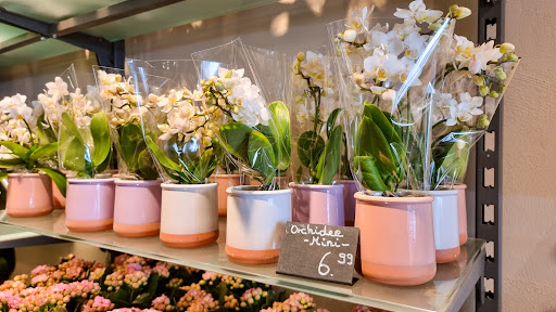 florali Eimsbüttel Gallery - Germany
