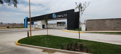 Cobalto Norte - Visual