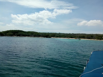 Photos of Buceo Cartagena Divers