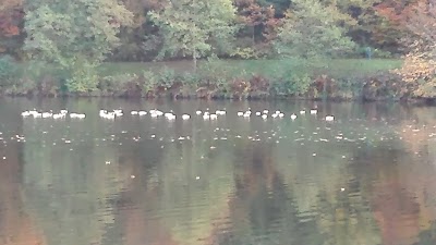 Photos of Camping Du Lac