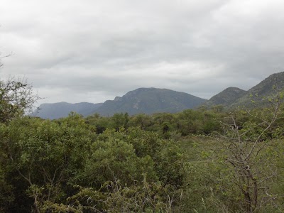 Photos of Fish Eagle Tiger Fishing Camp