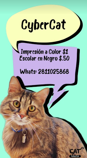 CyberCat - Visual