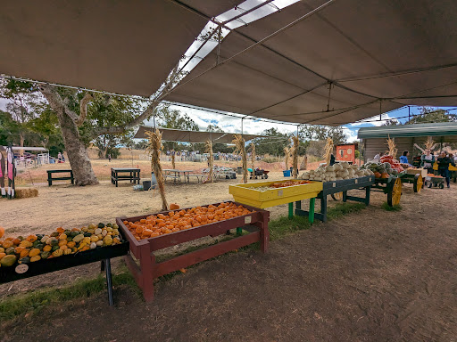 Joan's Farm & Pumpkin Patch - Thumbnail