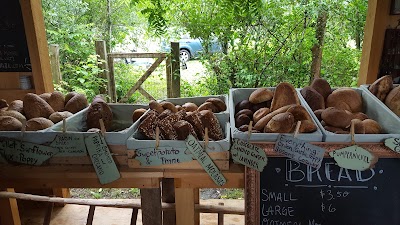 The Bread Stand ("The Bread Lady")