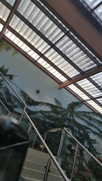 Photos of Heart of Sharjah Corporate Office