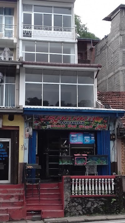 Photos of Sagara Aquarium