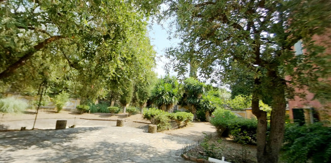 Αξιολογήσεις για το Danilia Village στην Κέρκυρα - Μουσείο