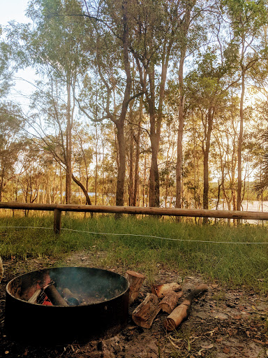 Log Dump Camp - Thumbnail