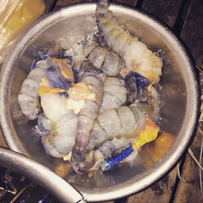 Photos of LyLy Restaurant