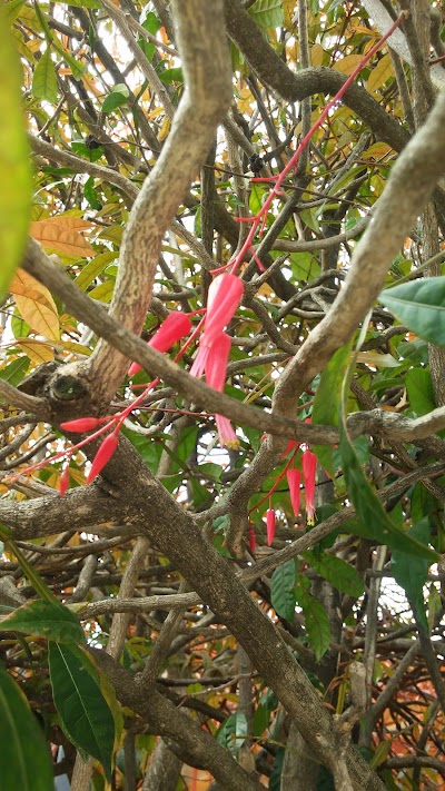Photos of La Trinidad Park