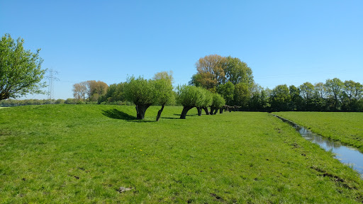 AdRemke