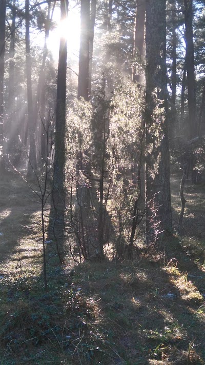Photos of "Atpūtas komplekss "Draudzība""