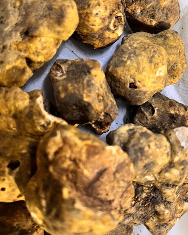 Ristorante Il Funghetto by null