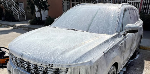 Otay Shield Detailing | Detallado y Autolavado a Domicilio