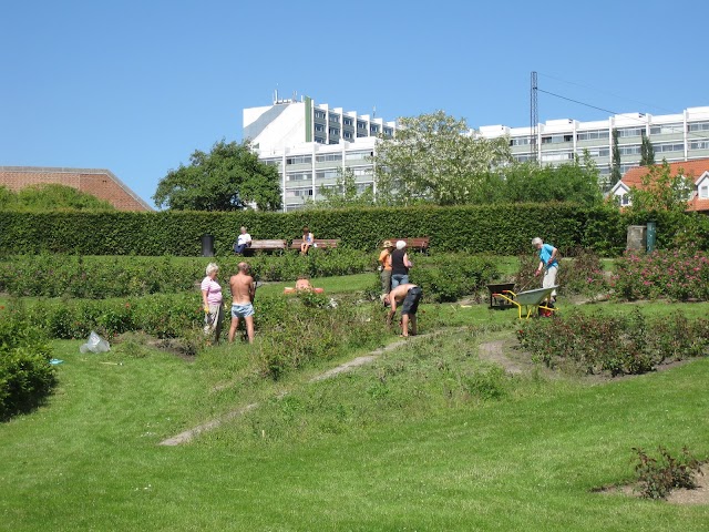 Botanisk Haves Venner