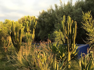 Photos of Le Jardin de DarZahia