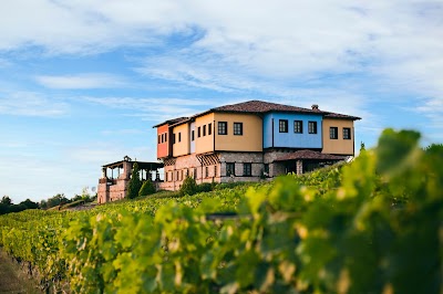 Photos of Estate Kalaitzis - &Kappa;&tau;ή&mu;&alpha; &Kappa;&alpha;&lambda;&alpha;ϊ&tau;&zeta;ή | Noble vineyard, vintage hospitality