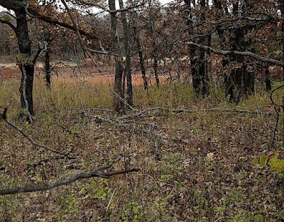 Lexington Wildlife Management Area