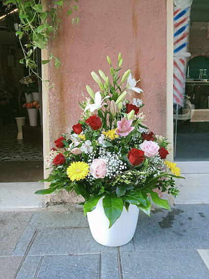 Fioreria Il Bocciolo