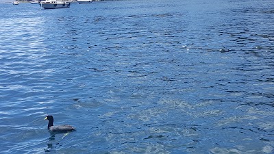 Photos of Strait of Tiquina